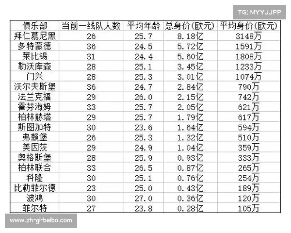 德甲球队最新身价排行榜及转会投入解析 德甲球队最新身价排行榜及转会投入解析