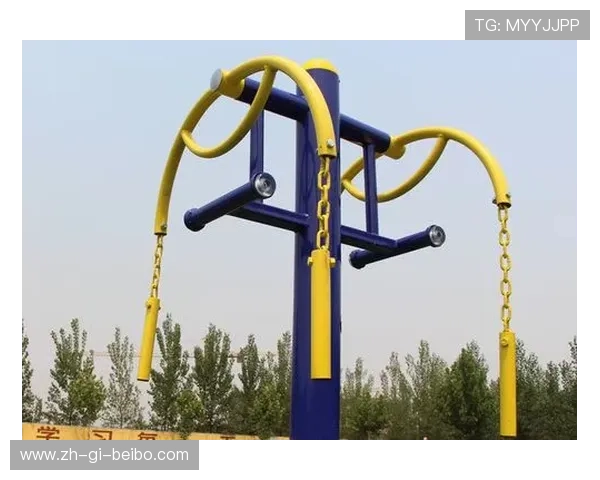 锻炼胳膊的健身器材的详细介绍与使用建议