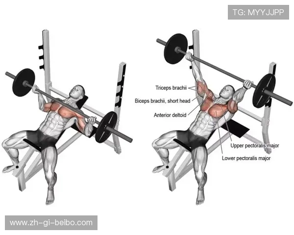 高效健身指南健身房常见器械使用规范与训练方案